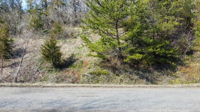 0 SPRING CHASE DR, GLADE HILL, VA 24092, photo 2 of 4
