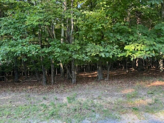 LOT 22 WOODSHIRE DR, BLUE RIDGE, VA 24064, photo 3 of 9