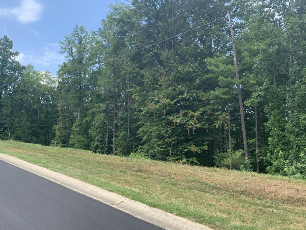 LOT 12 MOUNTAIN TOP DR, ROCKY MOUNT, VA 24151, photo 1