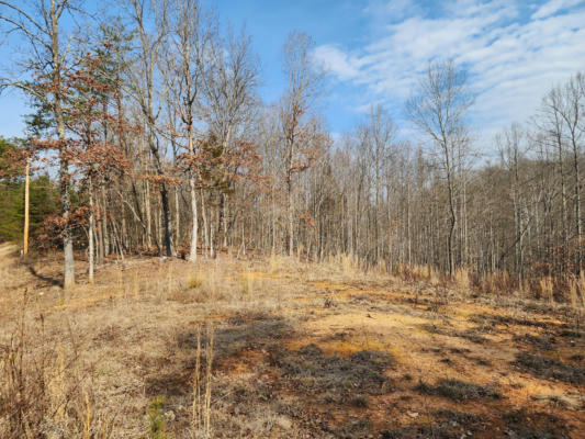 18 TURKEY RUN LN, WIRTZ, VA 24184 - Image 1