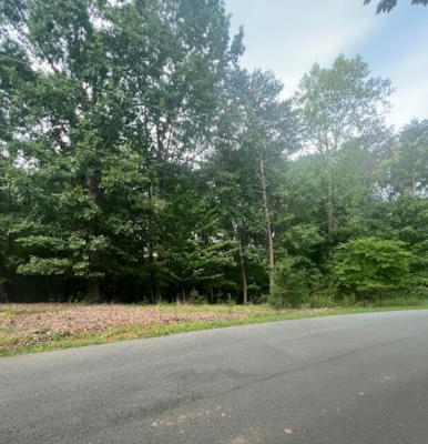 LOT 63 GAP BRIDGE RD, MONETA, VA 24121 - Image 1