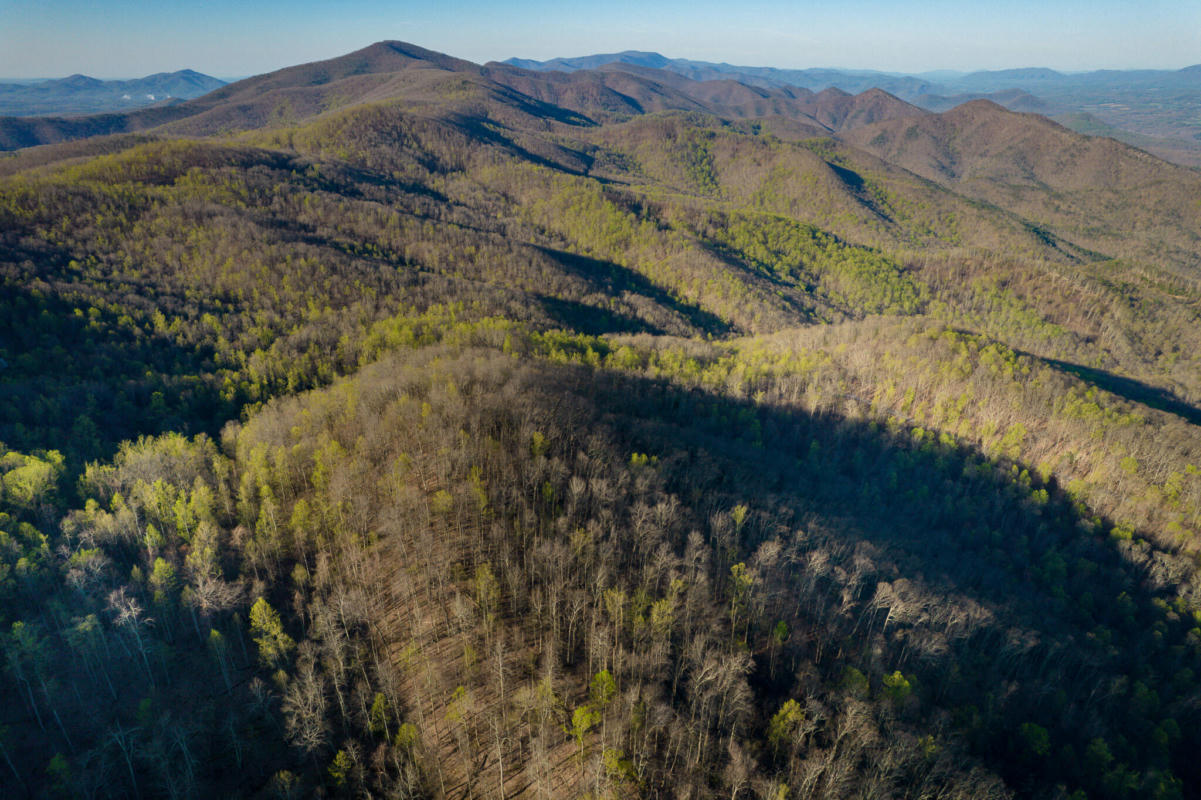 0 ROBINSON GAP RD, BUENA VISTA, VA 24416, photo 1 of 24