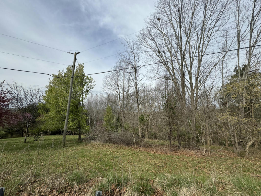 LOT 2 TRAILS END RD, GOODVIEW, VA 24095, photo 1 of 6