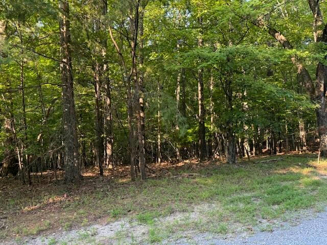 LOT 22 WOODSHIRE DR, BLUE RIDGE, VA 24064, photo 1 of 9