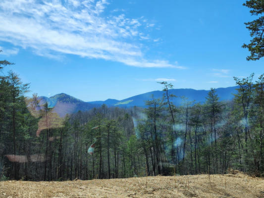 LOT 8 REESE MOUNTAIN RD, ELLISTON, VA 24087 - Image 1