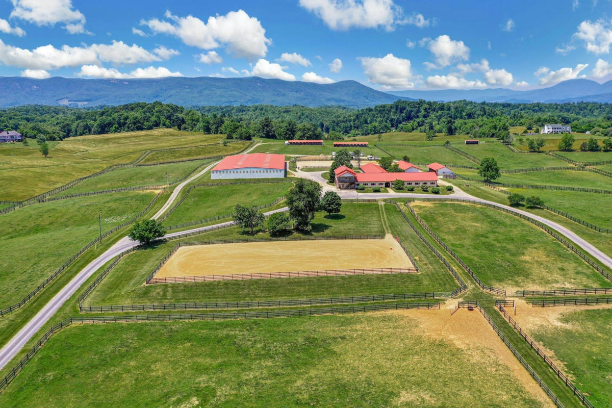 100 EQUUS LOOP, NATURAL BRIDGE, VA 24578, photo 1 of 80