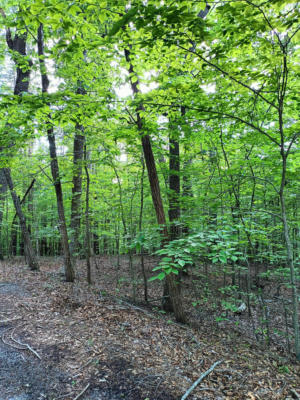 41 OLD BARN RD, MONETA, VA 24121, photo 2 of 12