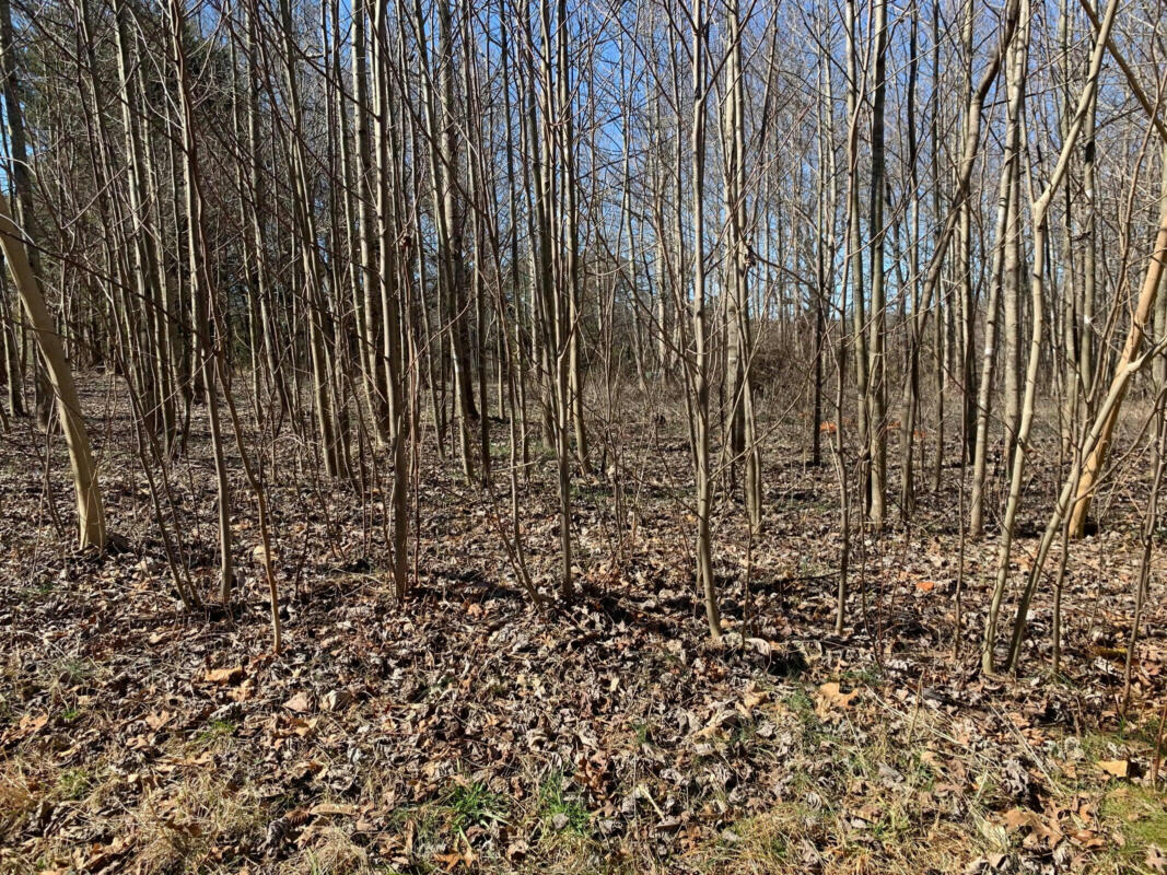 LOT 2 LAKE PARK DR, UNION HALL, VA 24176, photo 1