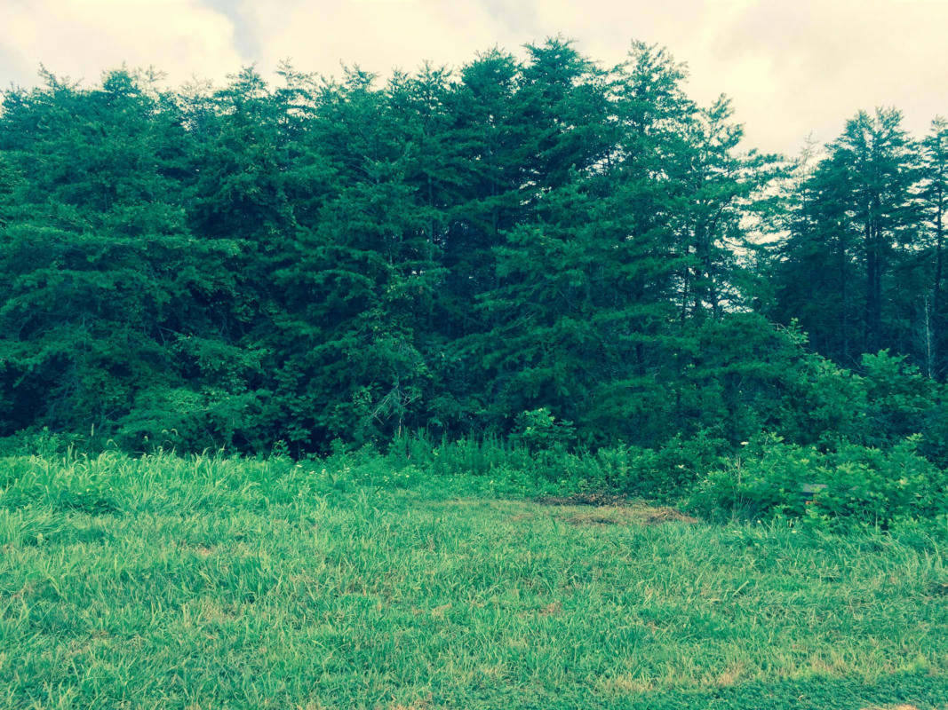 LOT 3 BELVIOR CIR, MONETA, VA 24121, photo 1