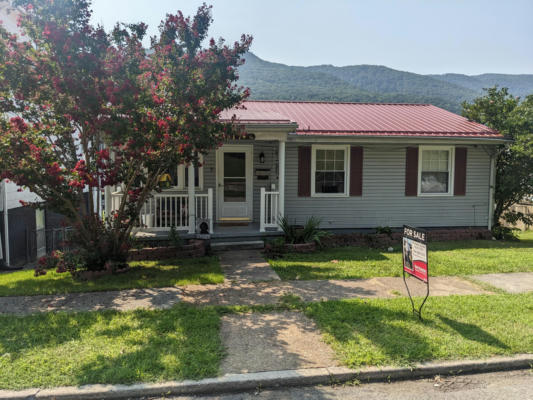 317 ALLEGHANY ST, CLIFTON FORGE, VA 24422 - Image 1