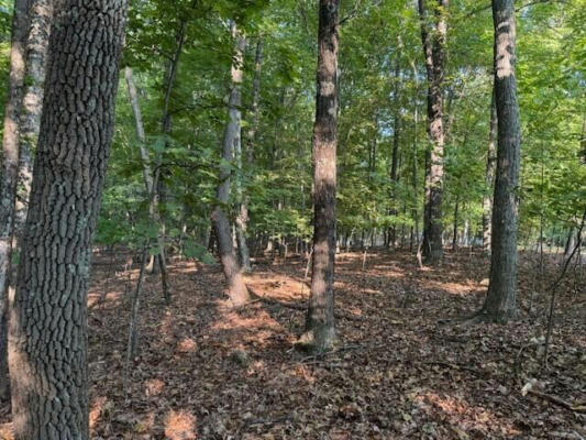 LOT 22 WOODSHIRE DR, BLUE RIDGE, VA 24064, photo 5 of 9