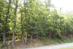 00 SUGAR LOAF MOUNTAIN RD, ROANOKE, VA 24018, photo 1