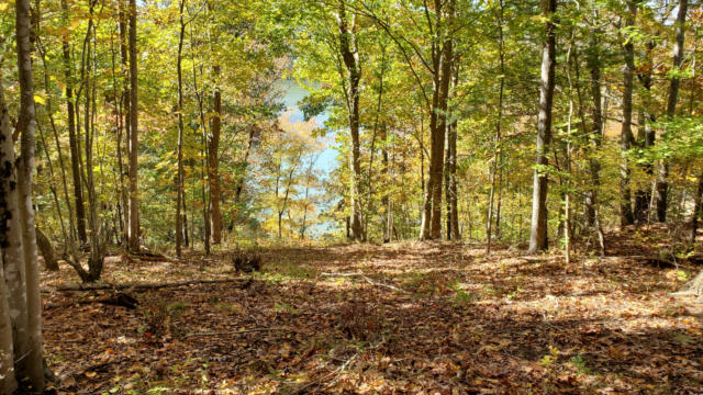 LOT 5 HIDDEN GROVE CT, GOODVIEW, VA 24095, photo 3 of 13