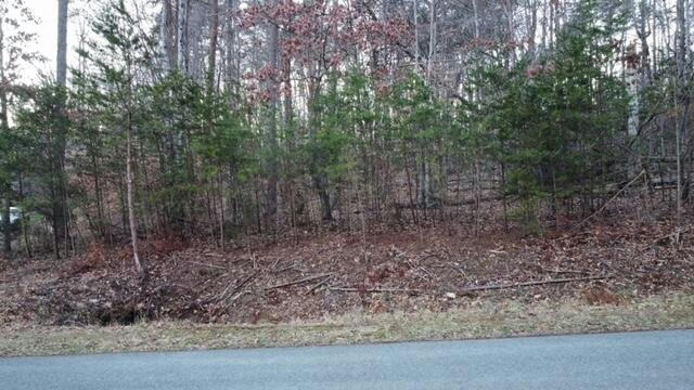 000 SPRING CHASE DR, GLADE HILL, VA 24092, photo 3 of 3