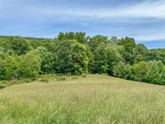 LOT 6 SUMPTER RD NW, WILLIS, VA 24380, photo 5 of 14