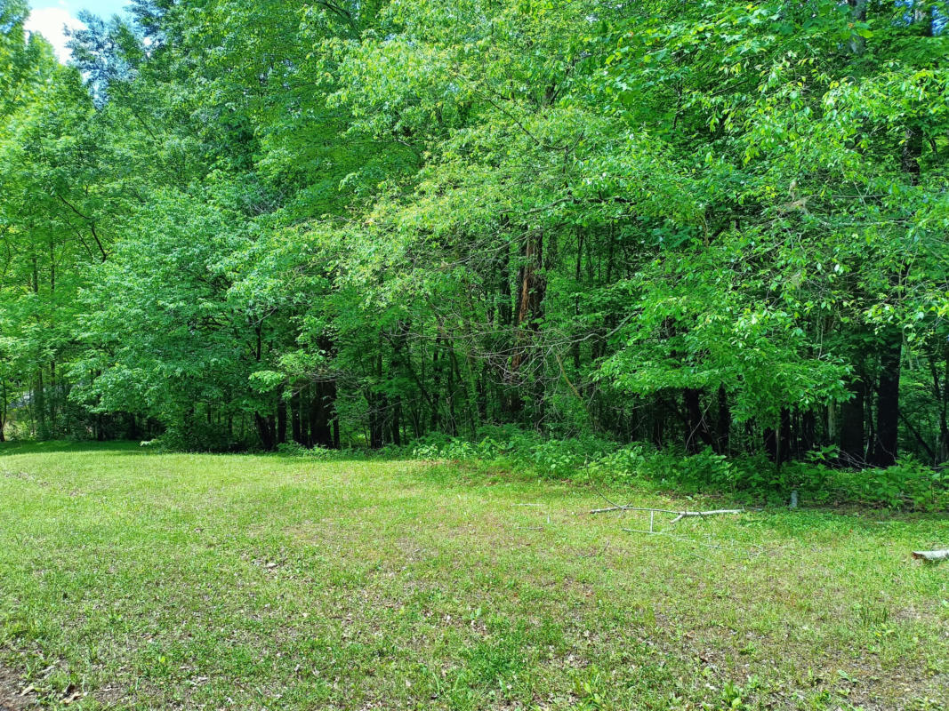 LOT 49 GAP BRIDGE RD, MONETA, VA 24121, photo 1 of 13