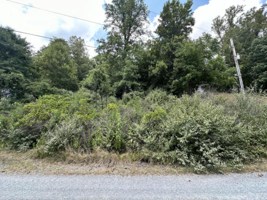 LOT 11 SAMS WAY, GOODVIEW, VA 24095 - Image 1