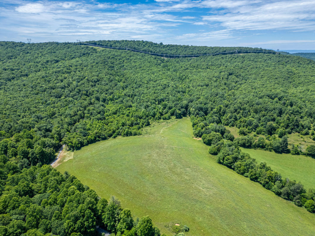 LOT 6 SUMPTER RD NW, WILLIS, VA 24380, photo 1 of 14